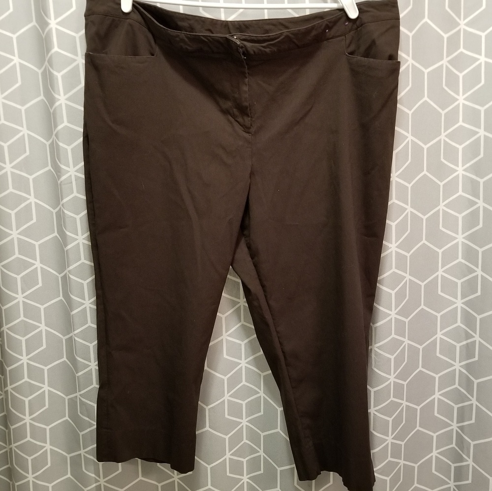 Stretchy Capri Pants - Size 26